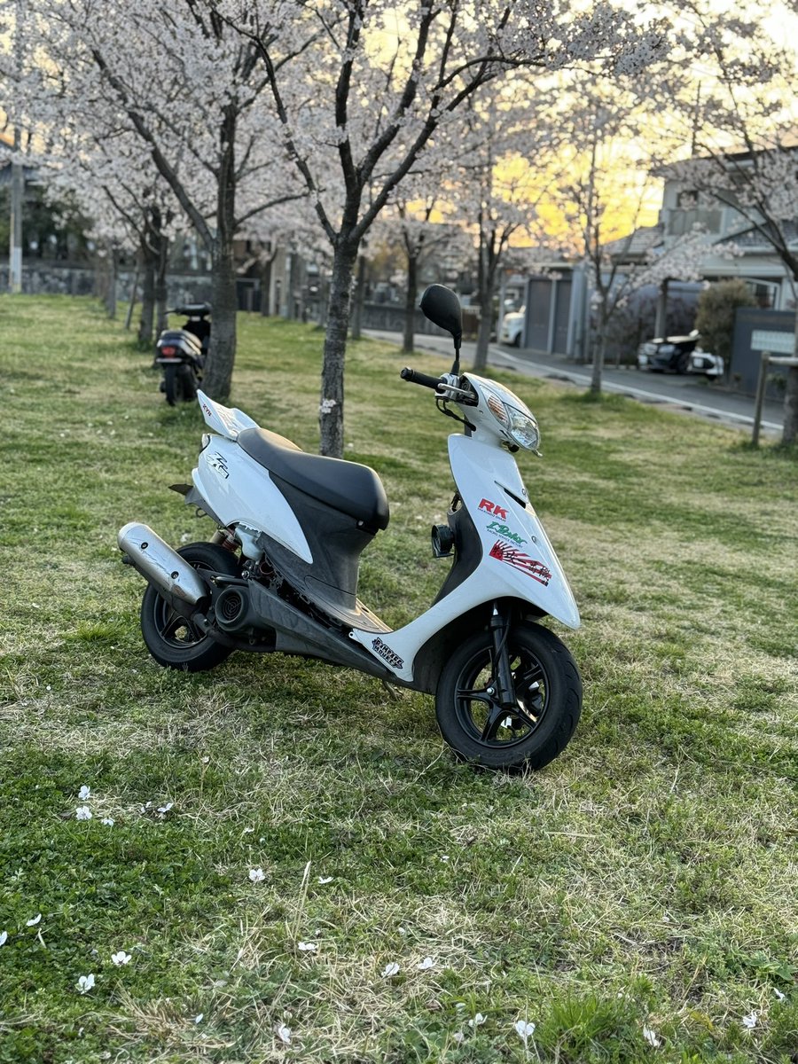 freestylelrace's tweet photo. こんな感じの乗り物のってます！
気軽に声かけてネ‼️

nsr50
ns1
jogZRエボ
セルシオ30後期 https://t.co/MkvF6hgydS