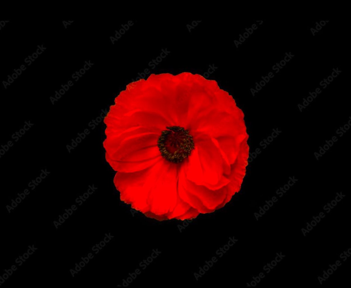 ⚠️ Trigger  Warning‼️ 

Today is a tough day for many, it’s probably my toughest day to date. Been hanging over me for weeks now and really affected me.

It’s a year to the day since I tried to take my life. 

365 days I’ve had to live with my decisions, survivors guilt,