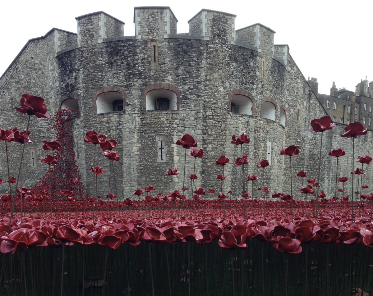 When you go home, tell them of us and say,
For your tomorrow, we gave our today.

For those we couldn’t save and those who’ve gone before.

#LestWeForget