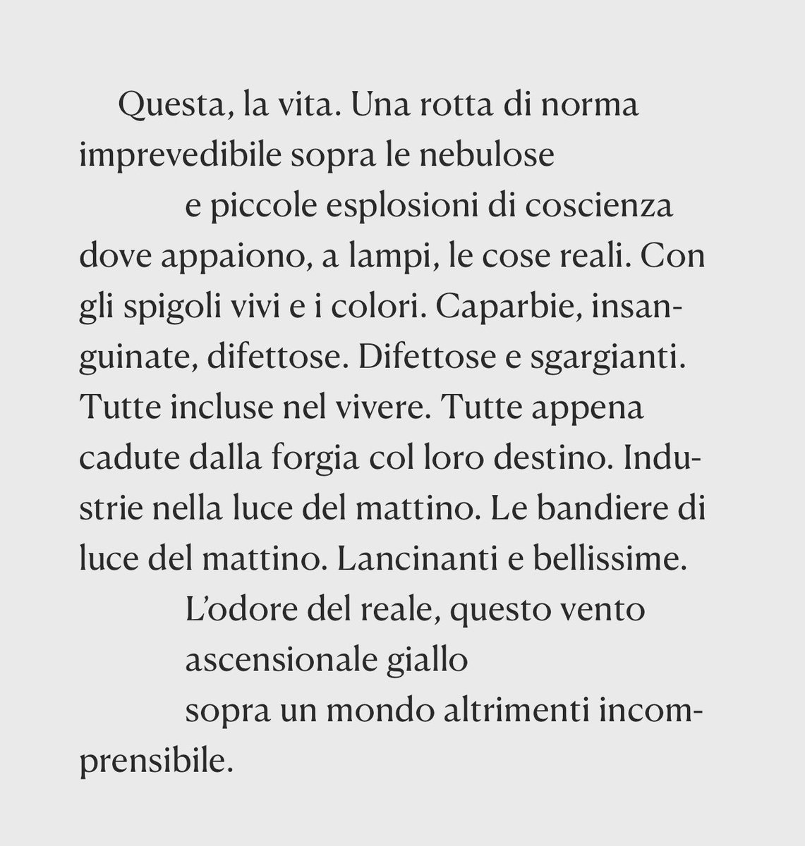 cor_vis's tweet image. Caparbie, insanguinate, difettose