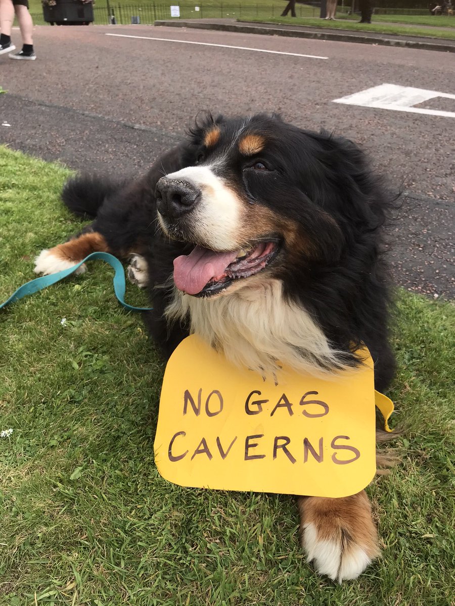 GRATEFUL

Following the recent  <a href="/daera_ni/">DAERA</a> news , our NGC and wider community feel huge disappointment 

We truly appreciate the kind words of encouragement and support as we face this unwelcome hurdle. 

Our hearts are very grateful to you all 💚
bit.ly/NGCmeansNGC