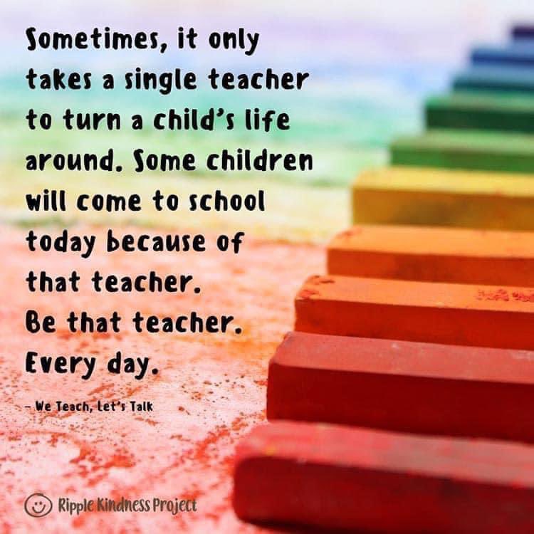 Lynne Fettes tweet media