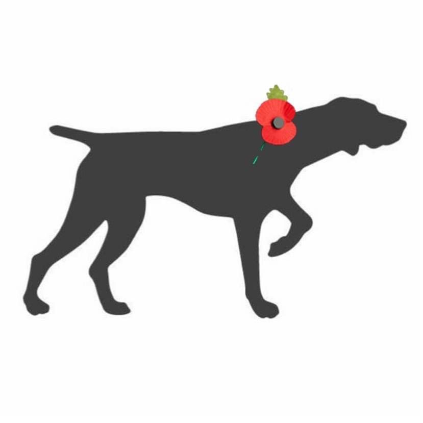 They shall grow not old 
As we who are left grow old 
Age shall not weary them
Not the years condemn
At the going down of the sun 
And in the morning
We will remember them 
Lest We Forget.

#lestweforget #remembrancesunday #RemembranceDay