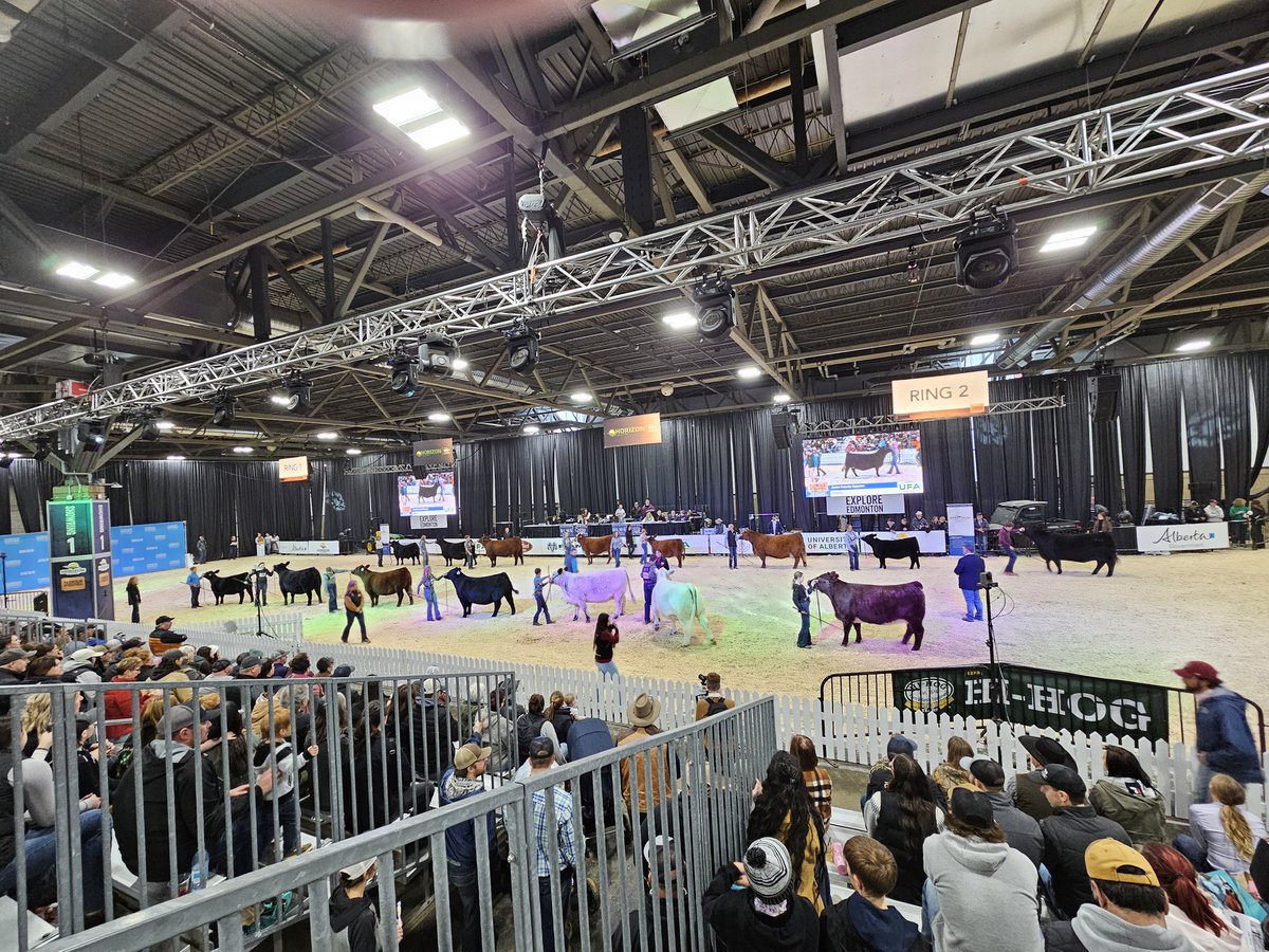 Mark Knutson (@jrnute82) on Twitter photo I really enjoyed my first visit to <a href="/FarmfairInt/">Farmfair International</a>. The junior supreme was a great addition to the evening supreme events. Great people in all the barns and the cattle looked fantastic. I really enjoyed my first visit to <a href="/FarmfairInt/">Farmfair International</a>. The junior supreme was a great addition to the evening supreme events. Great people in all the barns and the cattle looked fantastic.