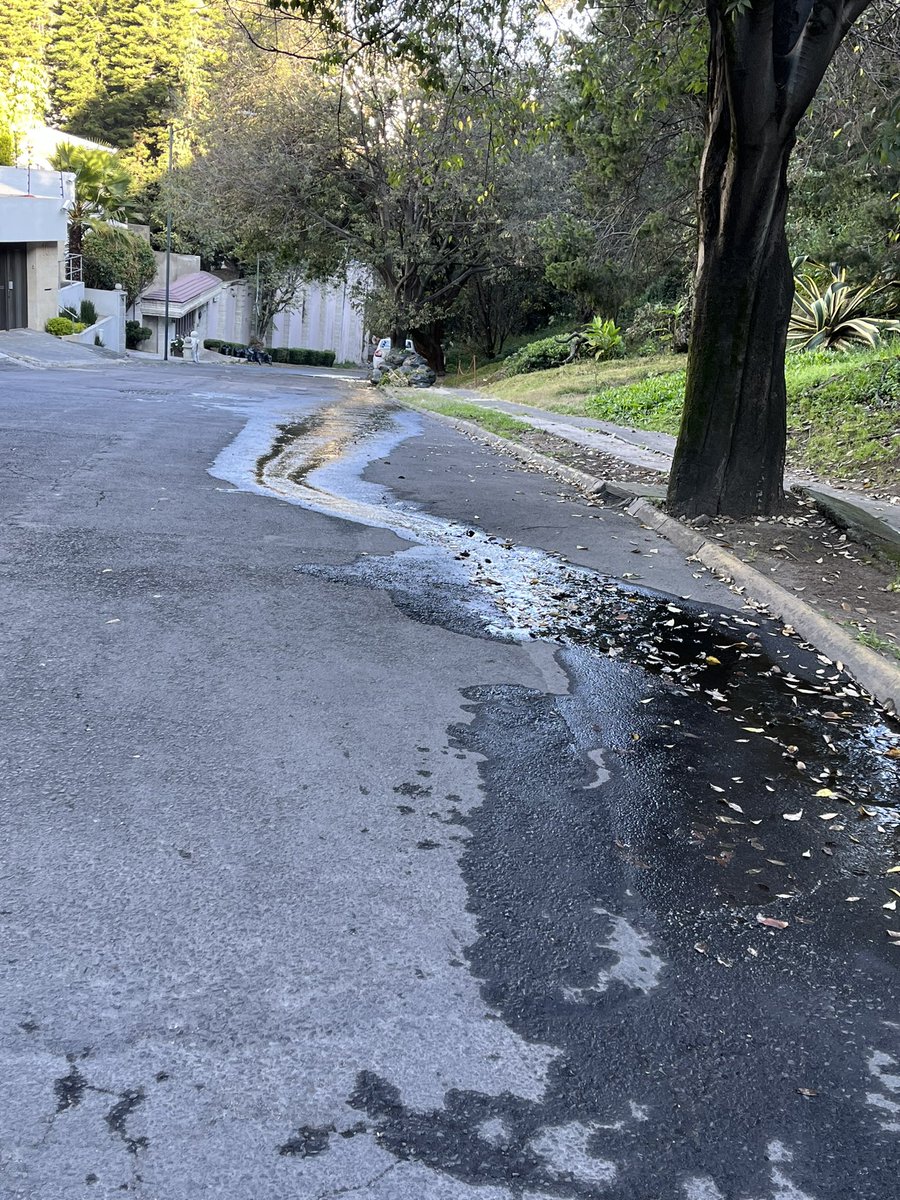 FlowerodeGarden's tweet photo. Location: https://t.co/wok9bkORVt…
@SacmexCDMX @probosques @AlcaldiaMHmx se ha reportado esta fuga con anterioridad pero sigue sin atenderse, mas de 4 semanas brotando agua debajo del pavimento #fuga comparto ubicacion https://t.co/37hUt2RFvF