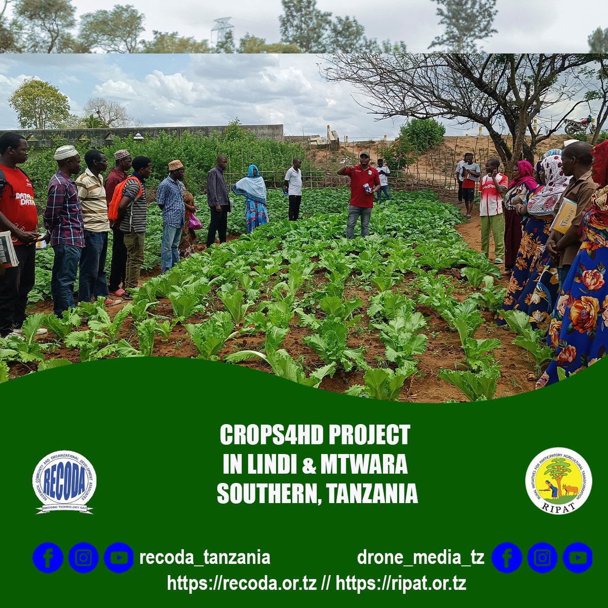 Field Visit by Leaders to Tuinuke Group Farm in Mpapura Village, Mtwara Rural District (CROPS4HD Project) by RECODA &amp; Swiss Aid Tz

Follow us on:recoda.or.tz / || recoda.or.tz/ripat / 
Instagram||Facebook|| Youtube @ recoda_tanzania
Call: +255695395272