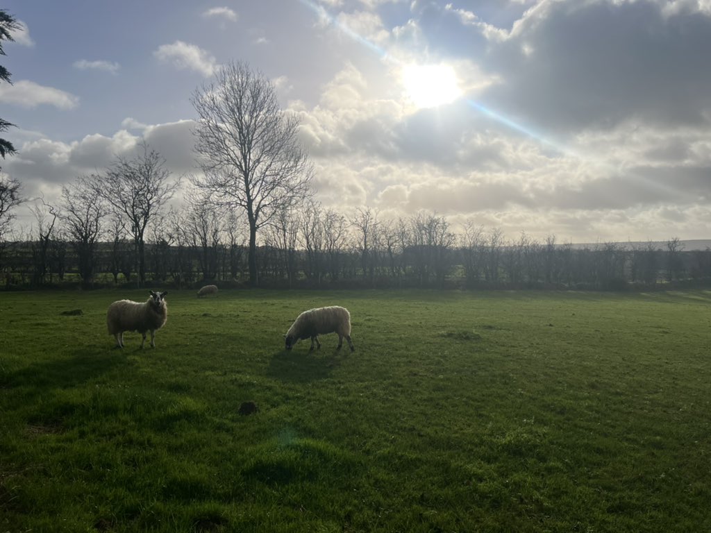 What a beautiful day ❤️🇮🇪❤️
