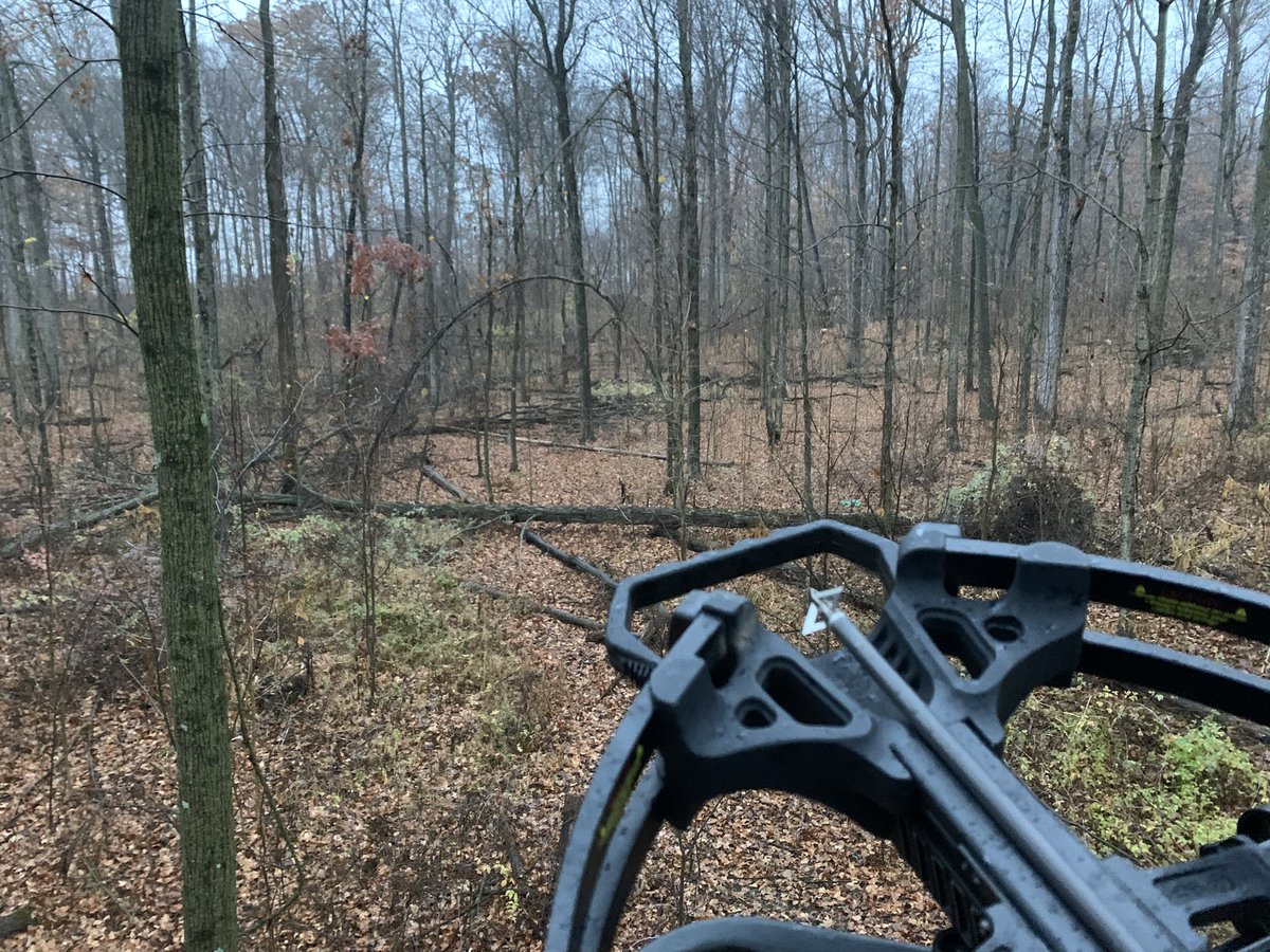 RealEricAgron's tweet photo. Favorite stand.
Rain dripping off trees.
Woods coming to life.
Allman Brothers tune in my head.
Anticipating some opportunities.
I really should put this phone down.
#deerhunting https://t.co/knUaU2Dbta
