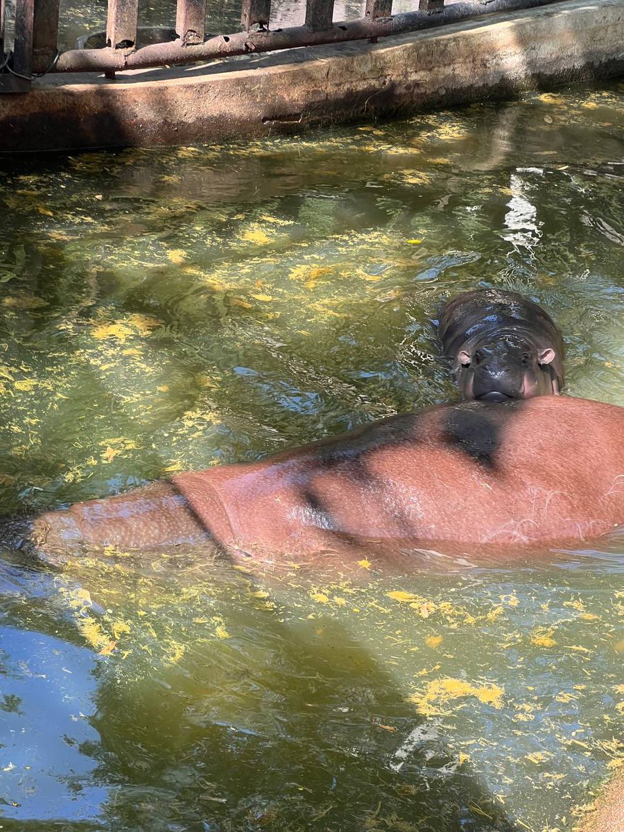 rxwald's tweet image. we met the queen irl today! tysm @lukso_io @shefiorg @FWBtweets @SearchOnDora @OfflineProtocol 🤍