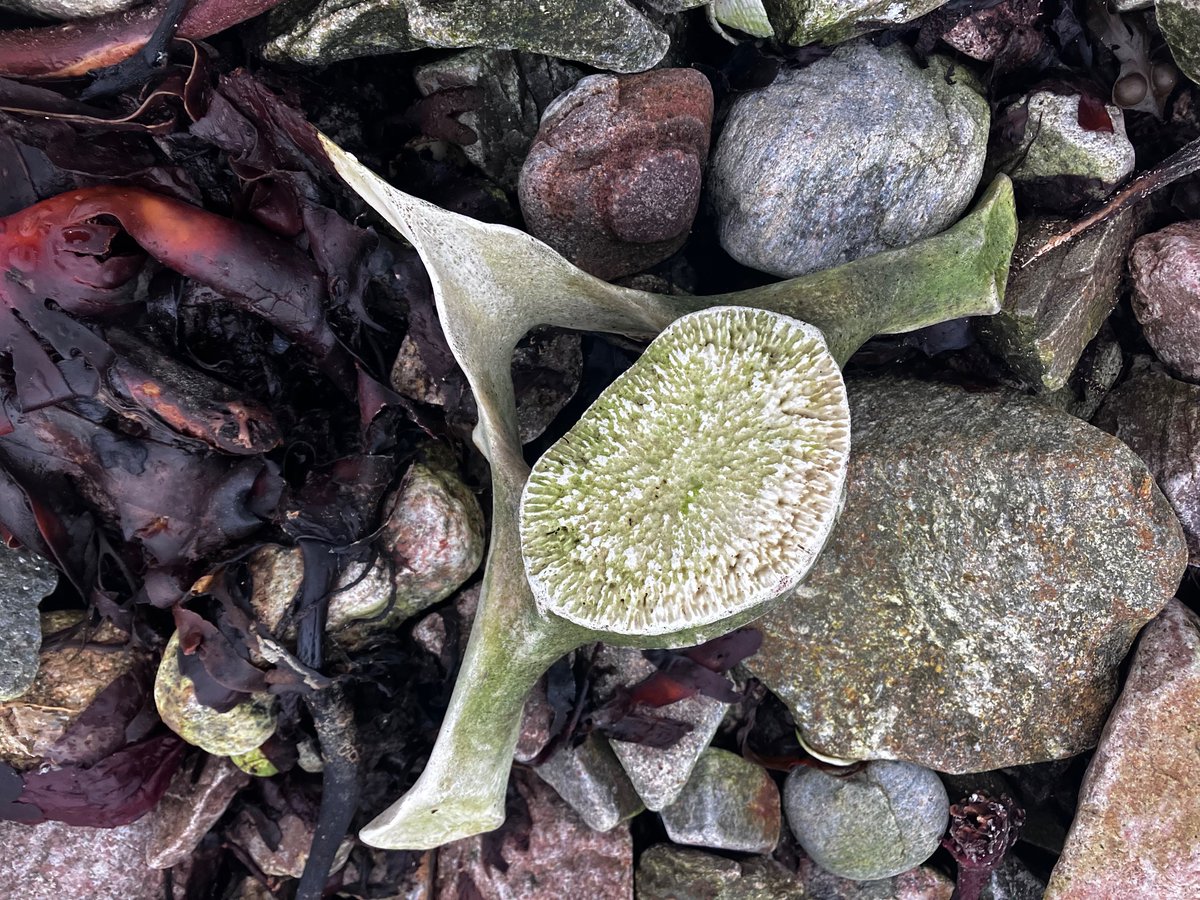 Jon Dunn 🇺🇦 tweet media