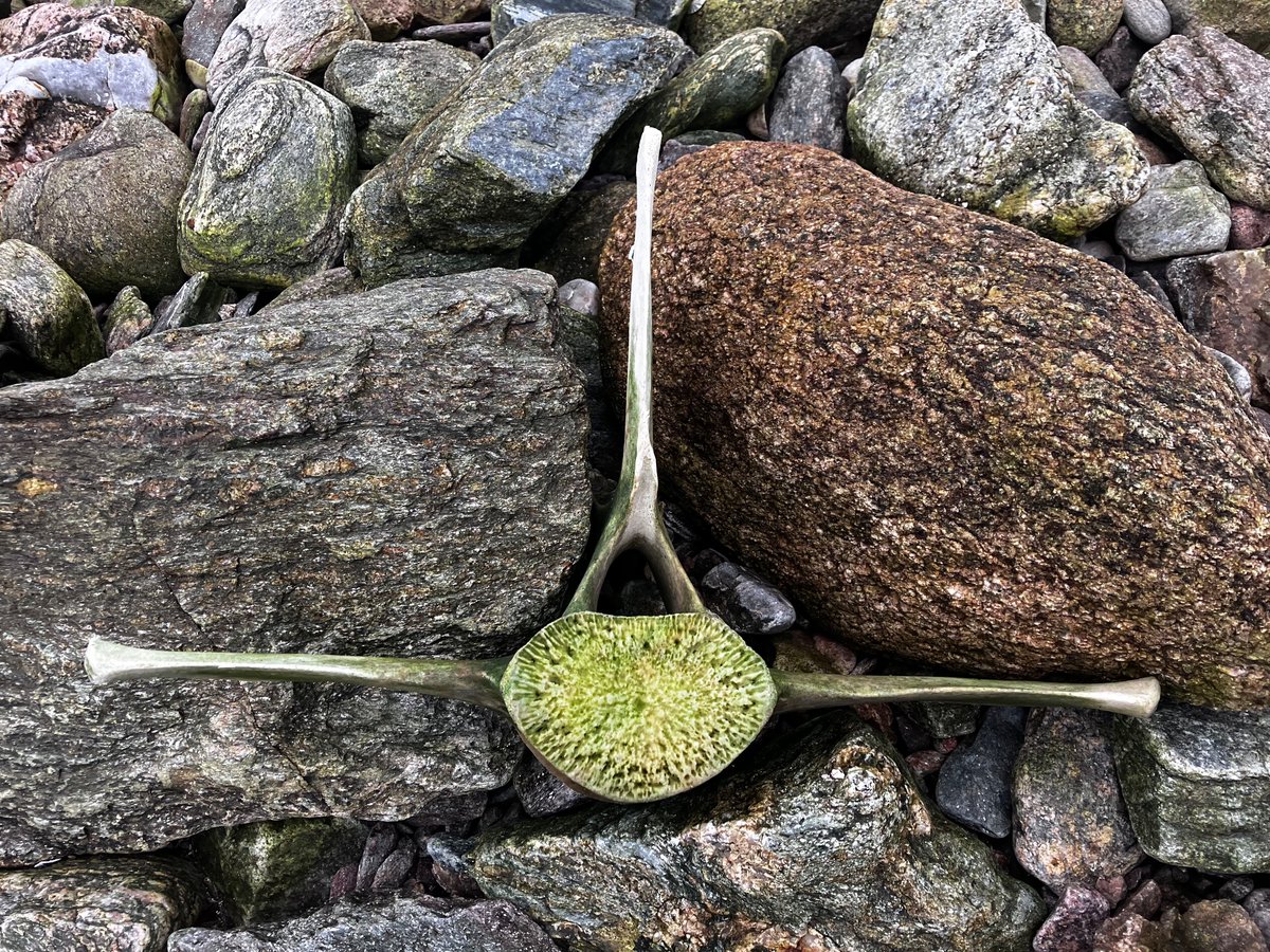 Jon Dunn 🇺🇦 tweet media