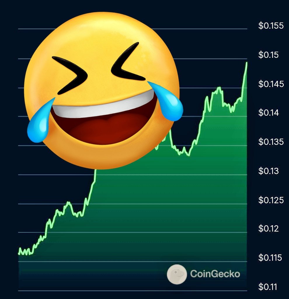 DJs Poke Center tweet media