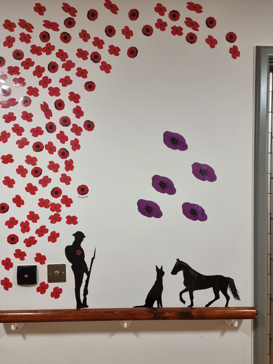 SueLync92346846's tweet photo. @WeArePendleview @hurstwoodward some of our beautiful displays done by the service users on hurstwood x https://t.co/rfwhLH5VDf