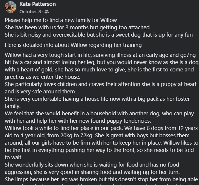 NenehJJackson's tweet photo. #UK #Chippenham #AdoptDontShop 🐕🐶🥰 please share https://t.co/aXdm4op69h https://t.co/sq3KgtOiBF