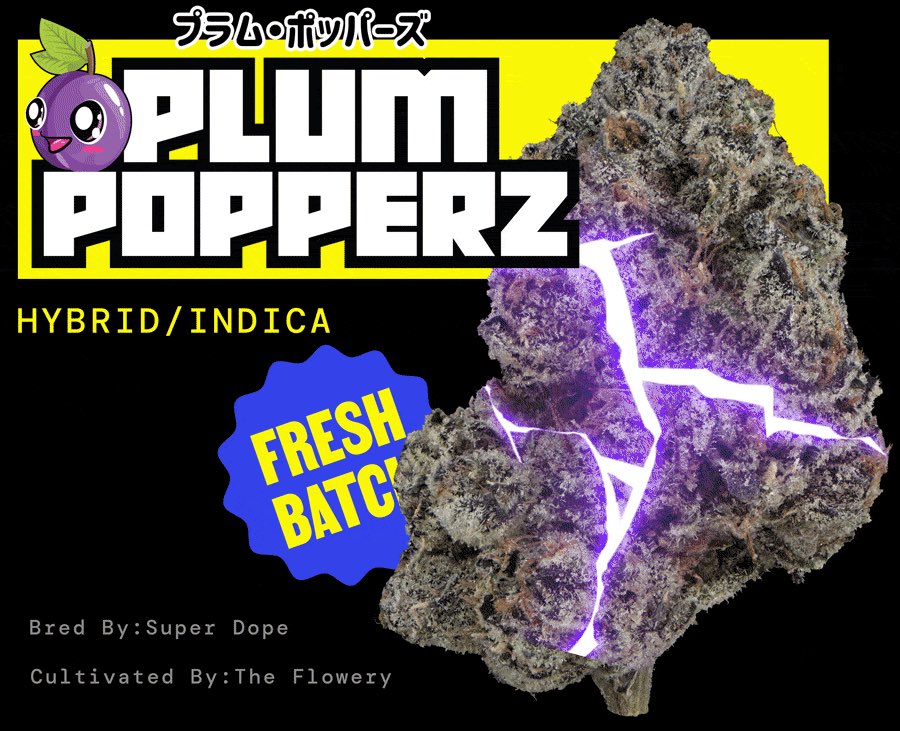 The Flowery on X: "fresh batch of @SUPERDOPEBRAND plum poppers available now 👾 https://t.co/34vEOi616J https://t.co/yIwltwGwbO" / X
