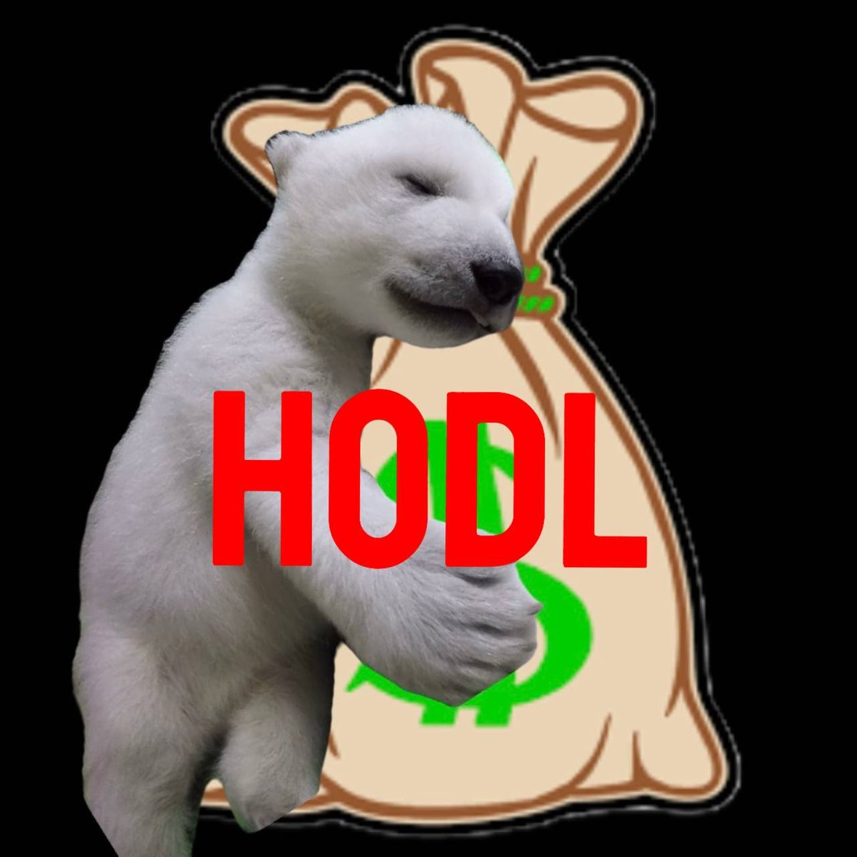 Believe in $NORA and..