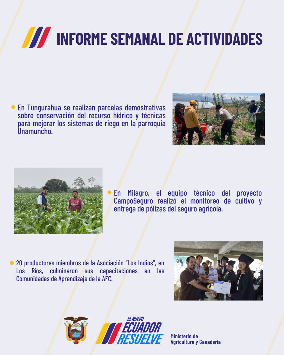 AgriculturaEc's tweet photo. #MAGResuelve | Esta semana avanzamos en nuestro compromiso con el agro. Más herramientas y más apoyo a nuestros agricultores. ¡Seguimos trabajando por un Ecuador más productivo! 

#ElNuevoEcuadorResuelve🇪🇨 https://t.co/18glnkqwCO