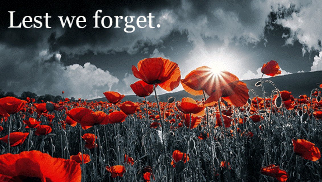 Featherwing tweet media