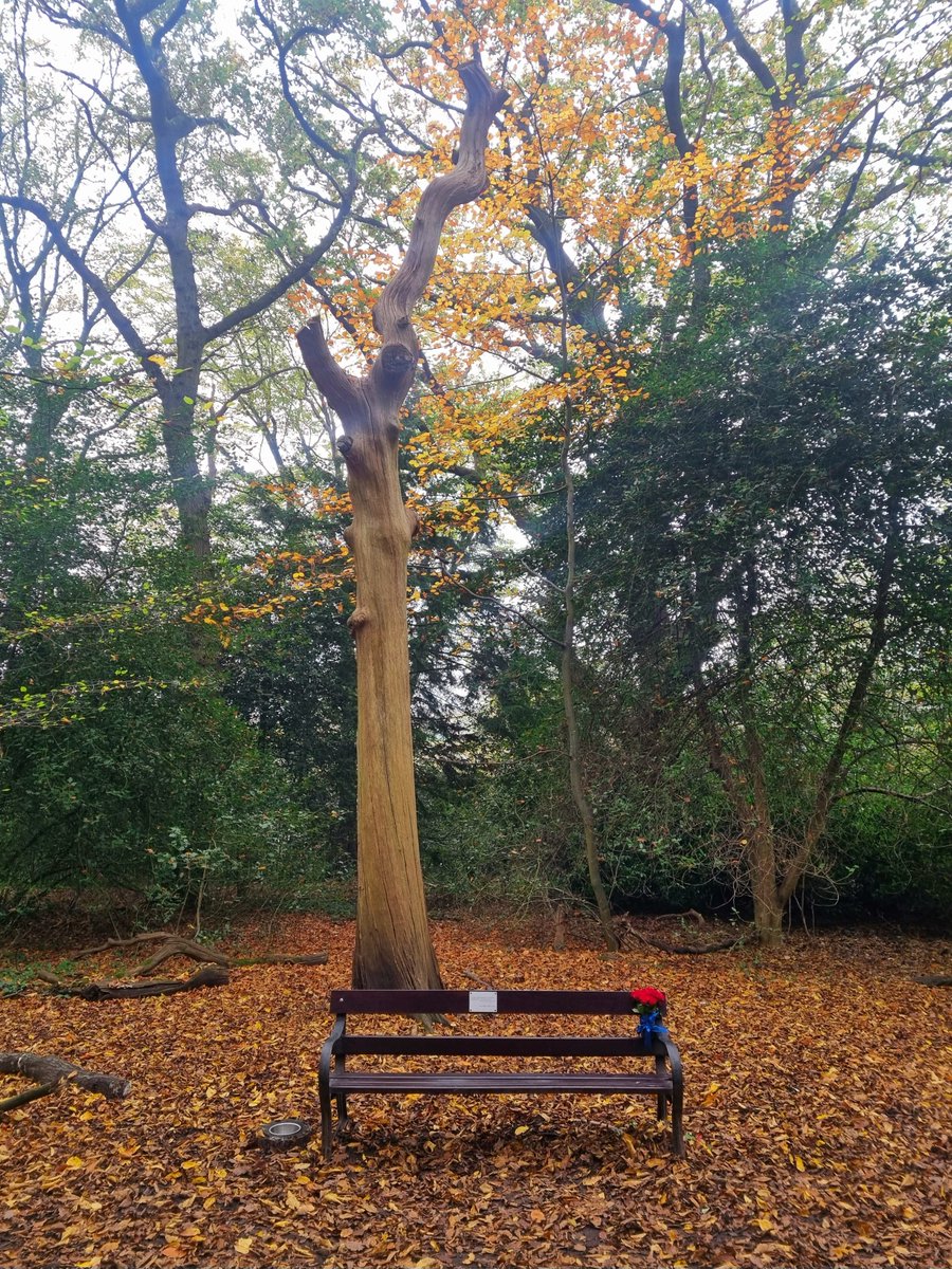 mr_seanhughes's tweet image. HBD SH

Today is Sean&apos;s birthday, and it&apos;s suitably grey and drizzly here in north London. A perfect afternoon to sit and spend some time perusing the links below...