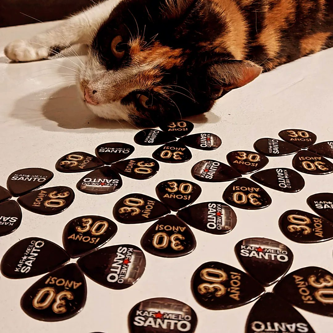 karamelosantoOK's tweet image. La Triky disfrutando la combinación de colores. #púas #30años