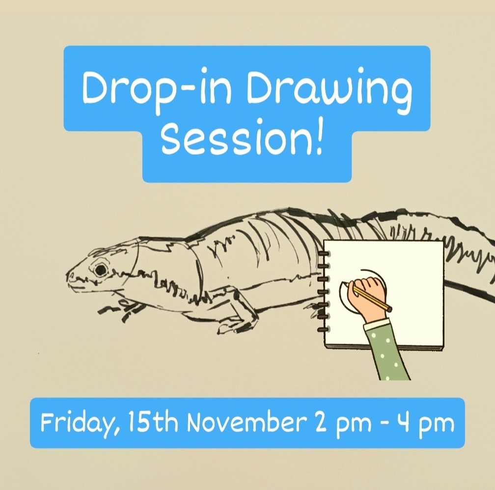 DROP-IN DRAWING SESSION!

As part of Science Week 2024, the Education Team at Dublin Castle is delighted to announce that 'Alf the Newt' will be on view in the upper yard on both Friday, 15th November and Saturday, 16th November, 2024!

instagram.com/p/DCHc8z1oSOi/…