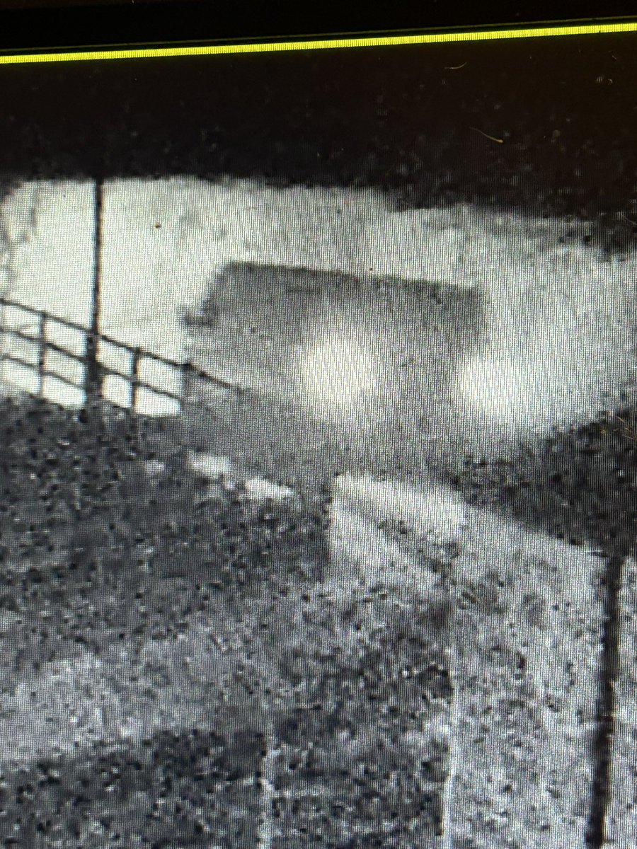 Aled Johnson tweet media