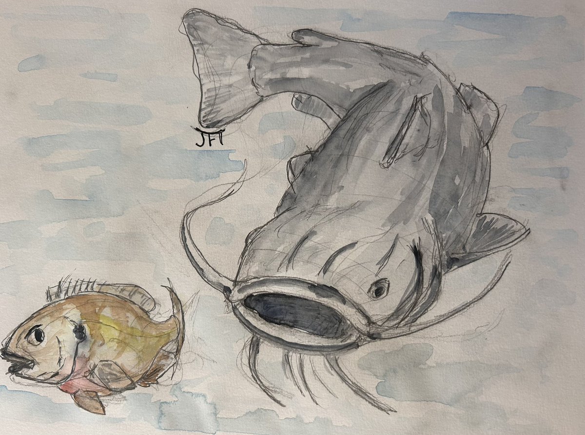 Messing around - Big fish little fish #SundayFishSketch
