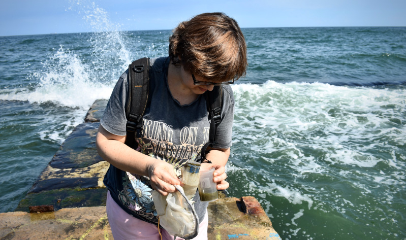 Voxeurop in English tweet media