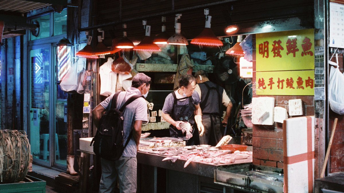 Fishmonkeycow tweet media