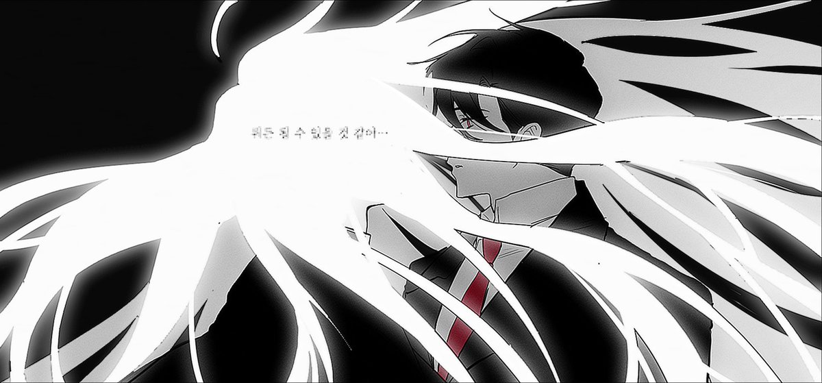 솜개 tweet media