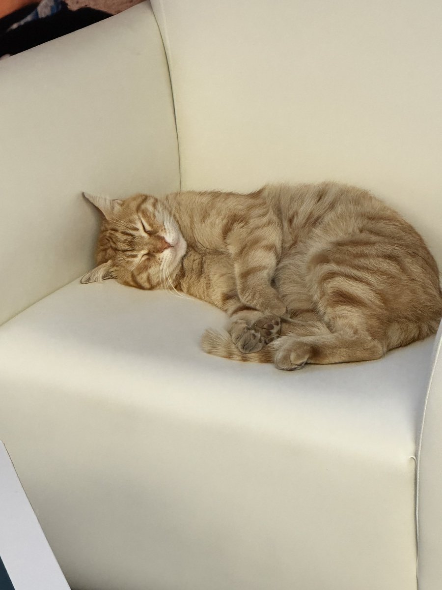 jbladel.bsky.social 🇺🇸 tweet media