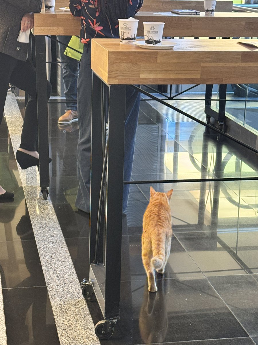 jbladel.bsky.social 🇺🇸 tweet media