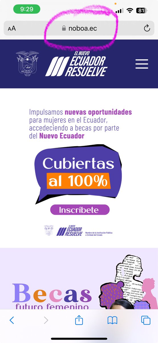 José Velásquez tweet media