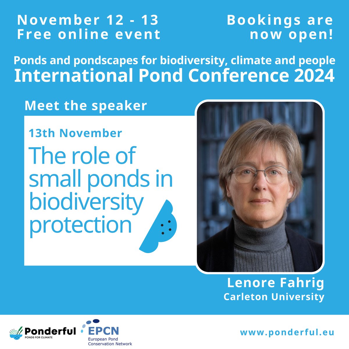 Ponderful tweet media