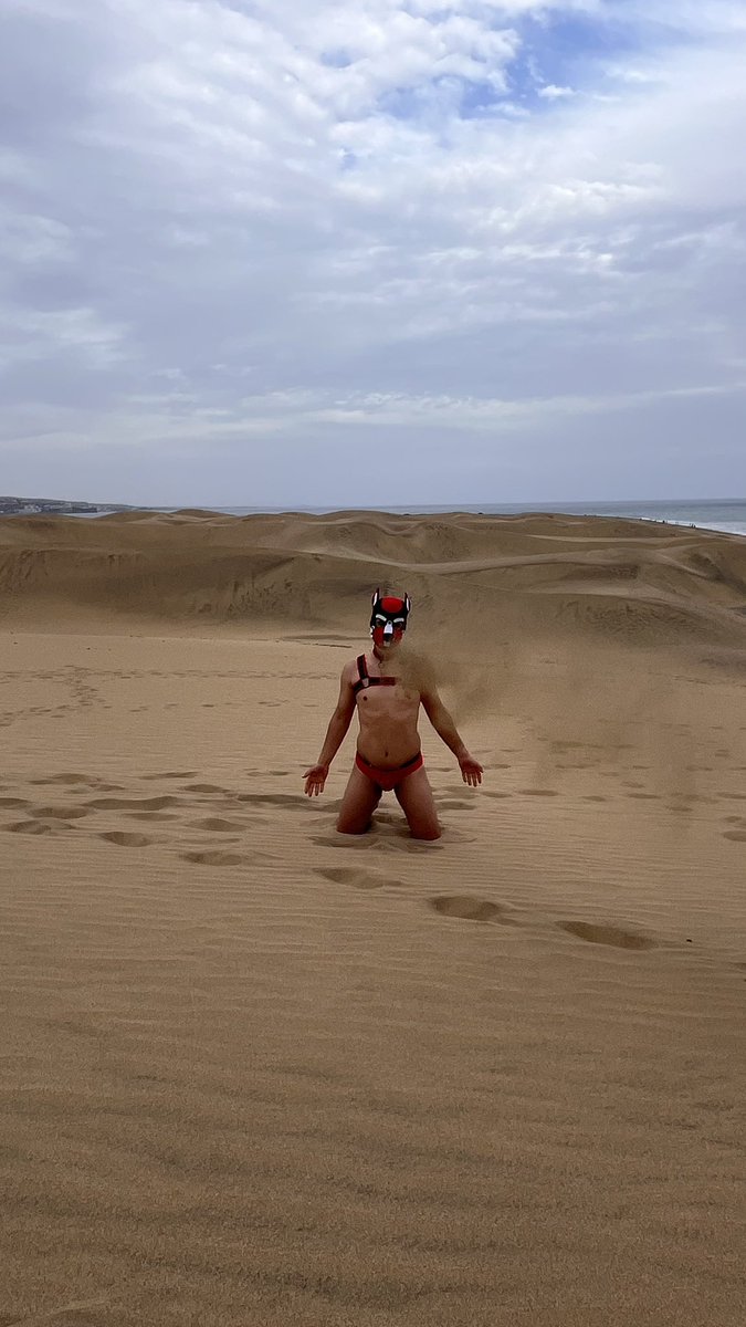 Happy Sauberwuffel on Vacationmode 🏝️🌴🍹🌊
.
.
#puppy #gay #gayman #gaymen #puppies #pupkink #gaymodels #pupplaycommunity #pupplay #humanpup #humanpuppy #musclepup #gaypup #gayeurope #gayguy #gaylife #gayguysofinstagram #grancanaria #dunes #beach #winterpride #pride #Pride24