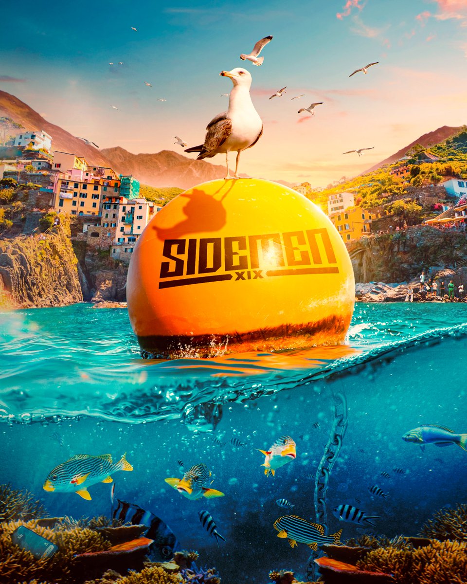 Before    /    After 🎨