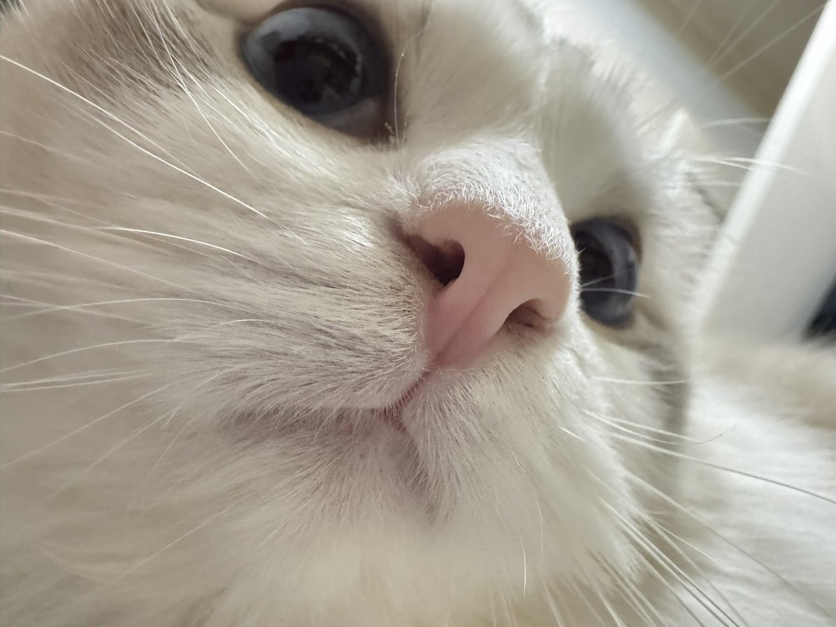 宝宝你是一例可口的草莓小蛋糕🥰