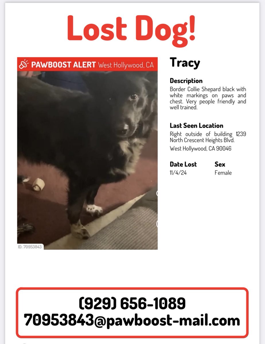 Missy Rogers (@missyrogersnyc) on Twitter photo 