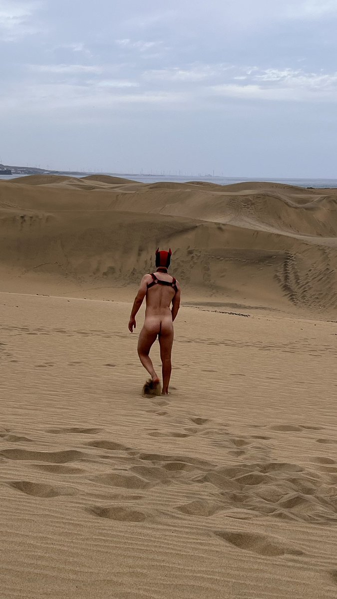 Puppy as Schmutzwuffel exploring the Dunes on Maspalomas Winterpride 🐶😈