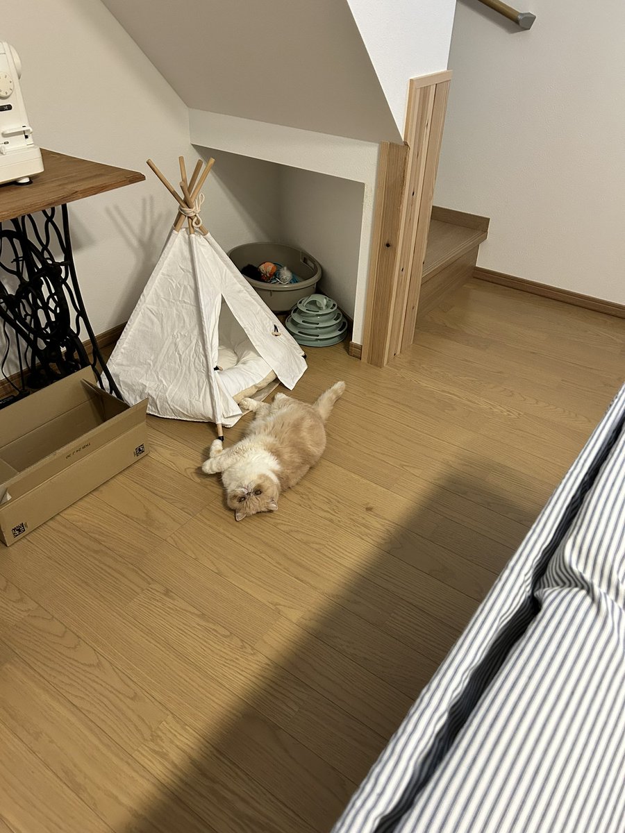 CoCo (@OncLe40114orO1V) / Posts / X