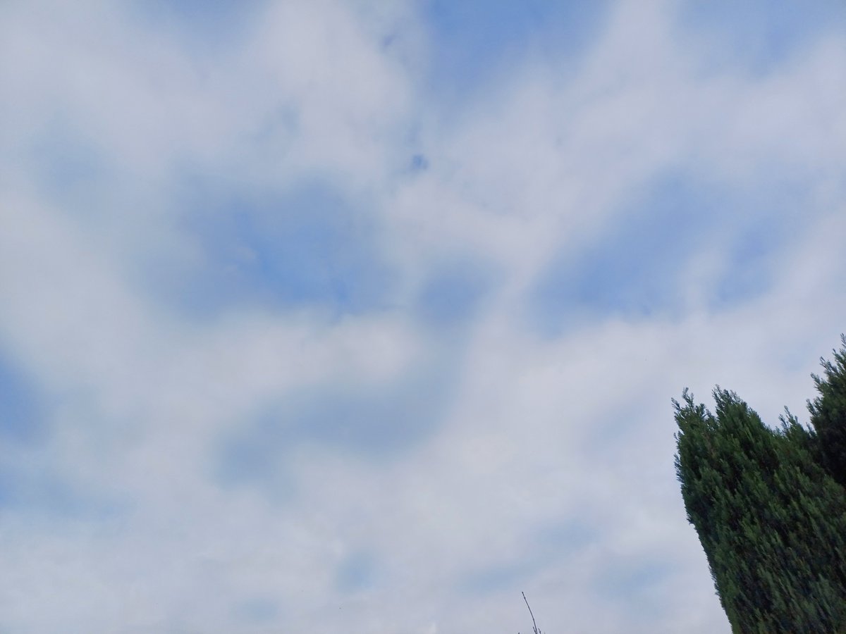 .....and on the 16th day strange holes appeared in the greyness, people came out of their dwellings, some wept, some started worshipping it, the elders of the village recounted seeing such things and called it "the sky".....  #anticyclonicgloom #gloom <a href="/StaffsSkies/">Staffordshire Skies</a>