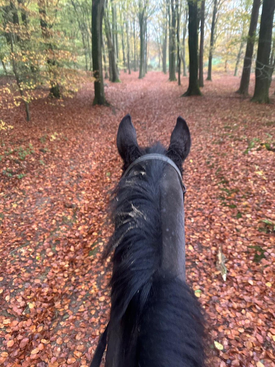 𝐊𝐞𝐫𝐫𝐲 𝐋𝐞𝐞 tweet media