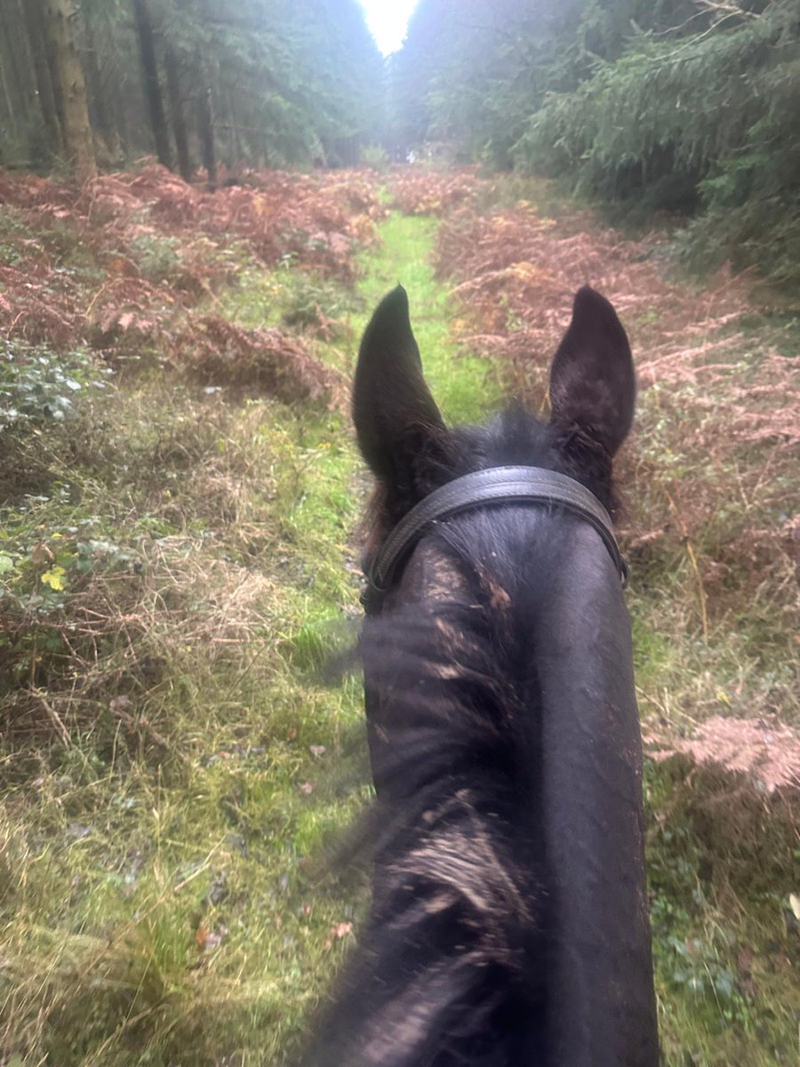 𝐊𝐞𝐫𝐫𝐲 𝐋𝐞𝐞 tweet media