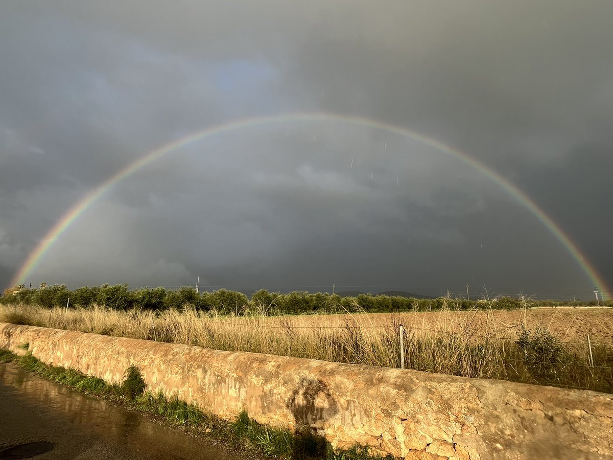 Andres Lasaga (@alasaga) on Twitter photo Amanece…que no es poco. #SonSardina #Palma #IllesBalears
<a href="/ElTiempo_tve/">El Tiempo en TVE</a> <a href="/ElTiempoA3/">El Tiempo de Antena 3</a> <a href="/TempsIB3/">El temps IB3</a> Amanece…que no es poco. #SonSardina #Palma #IllesBalears
<a href="/ElTiempo_tve/">El Tiempo en TVE</a> <a href="/ElTiempoA3/">El Tiempo de Antena 3</a> <a href="/TempsIB3/">El temps IB3</a>