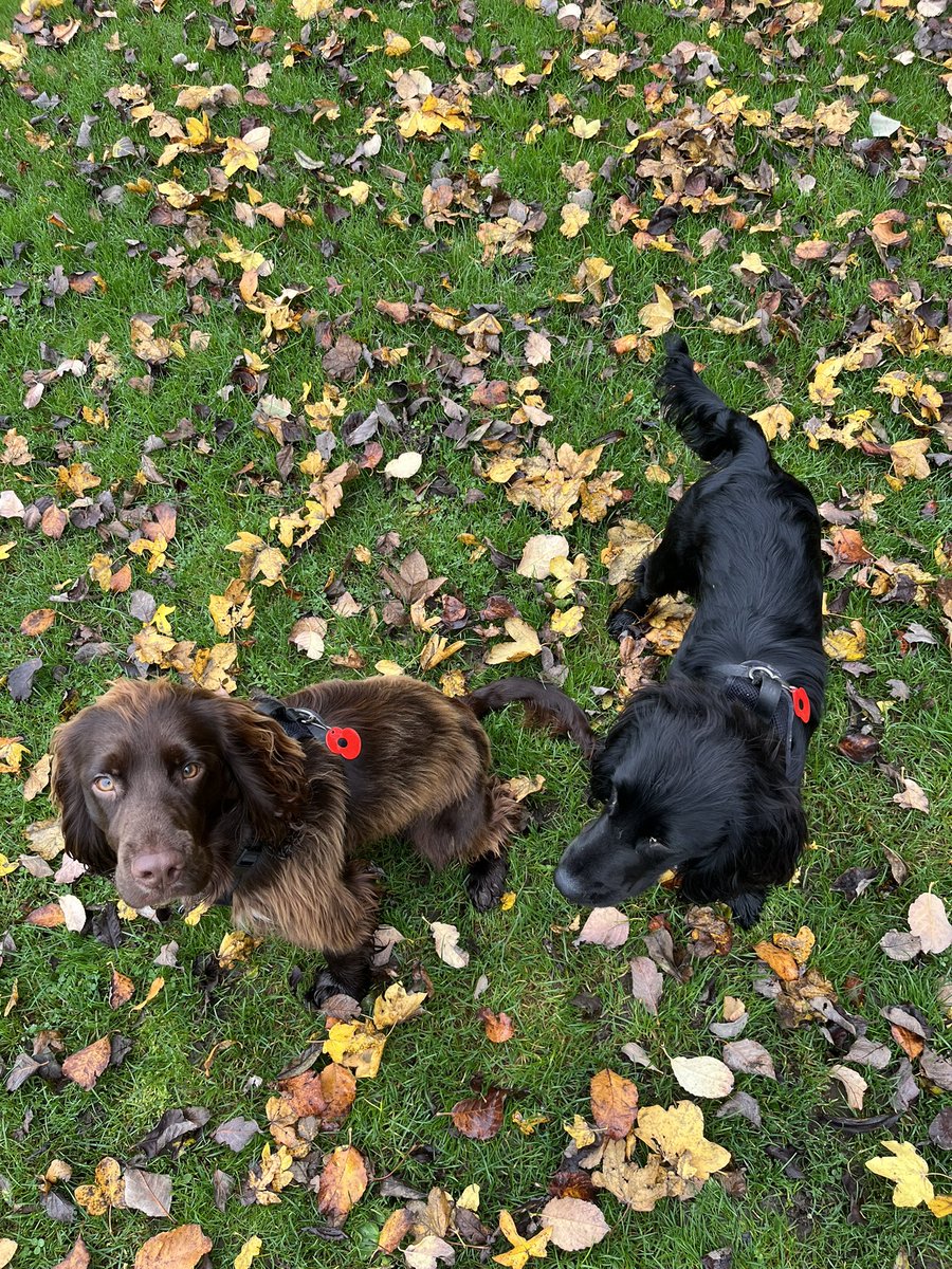 Paul Woolford (@woolfpaul) on Twitter photo 