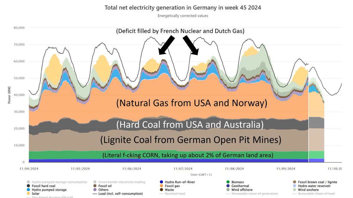 MacLesggy tweet media