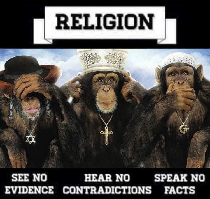 Lilith_Atheist's tweet photo. Morning, everyone😊 https://t.co/Qe2Q8cSGu5
