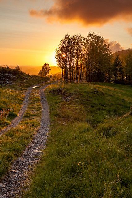 Do not go where the path may lead, go instead where there is no path and leave a trail. -Ralph Waldo Emerson