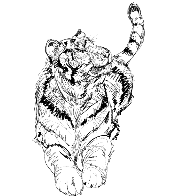 12catttt's tweet photo. #Sketch
Tiger&amp;Tat https://t.co/IpXkiDsuQS