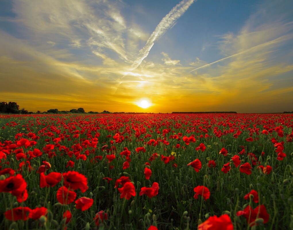 Nicola Di Luzio (@ndiluz) on Twitter photo 